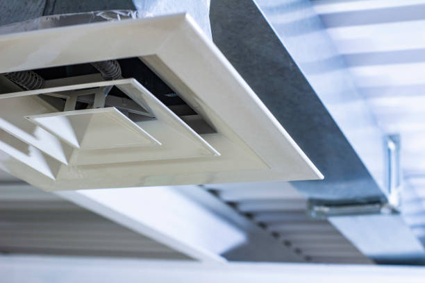Best Home Air Vent Cleaning  in Mamou, LA