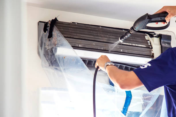 Best Professional Duct Cleaning Services  in Mamou, LA